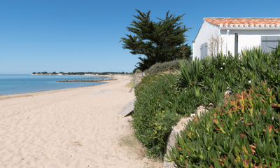 Visiter la Vendée : un séjour pour tous les goûts